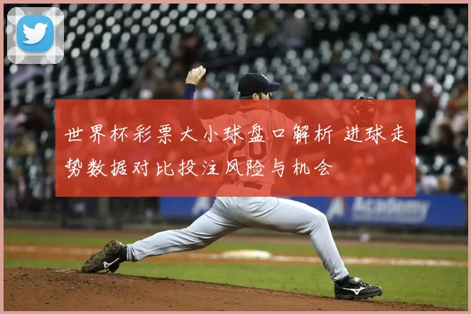 世界杯彩票大小球盘口解析 进球走势数据对比投注风险与机会