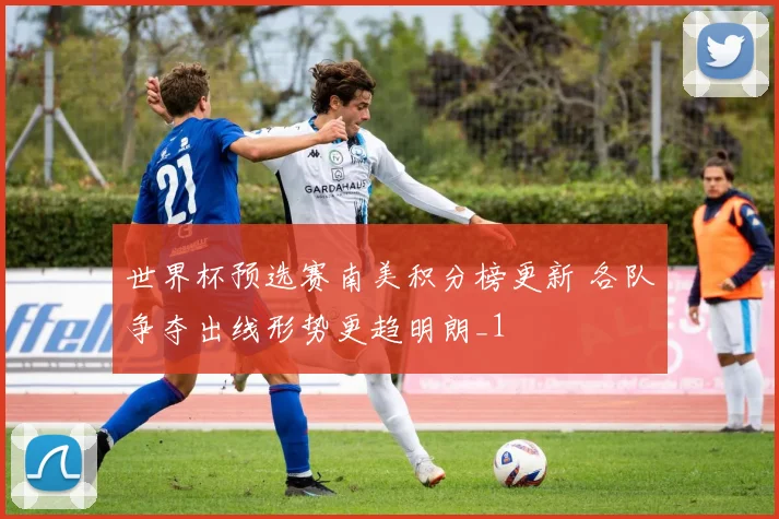 世界杯预选赛南美积分榜更新 各队争夺出线形势更趋明朗_1