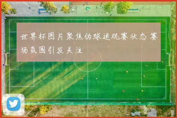 世界杯图片聚焦伪球迷观赛状态 赛场氛围引发关注